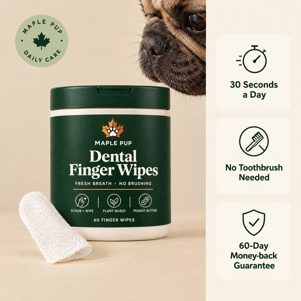 Maple Pup Dental Finger Wipes with a French bulldog