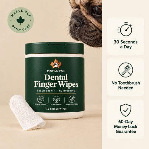 Maple Pup Dental Finger Wipes with a French bulldog