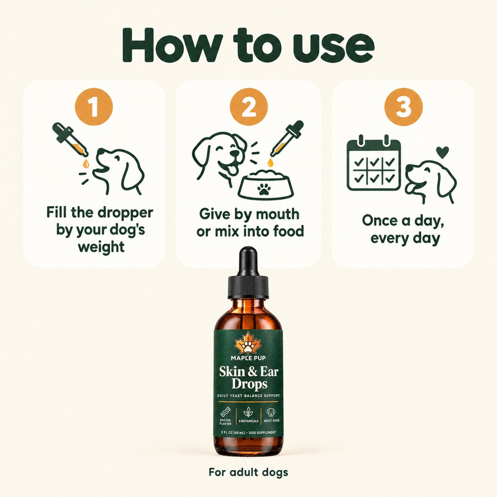 How to use