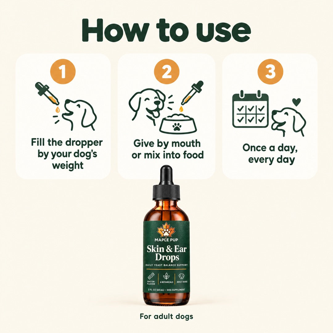 How to use