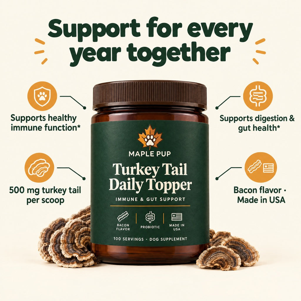 Immune and gut support benefits
