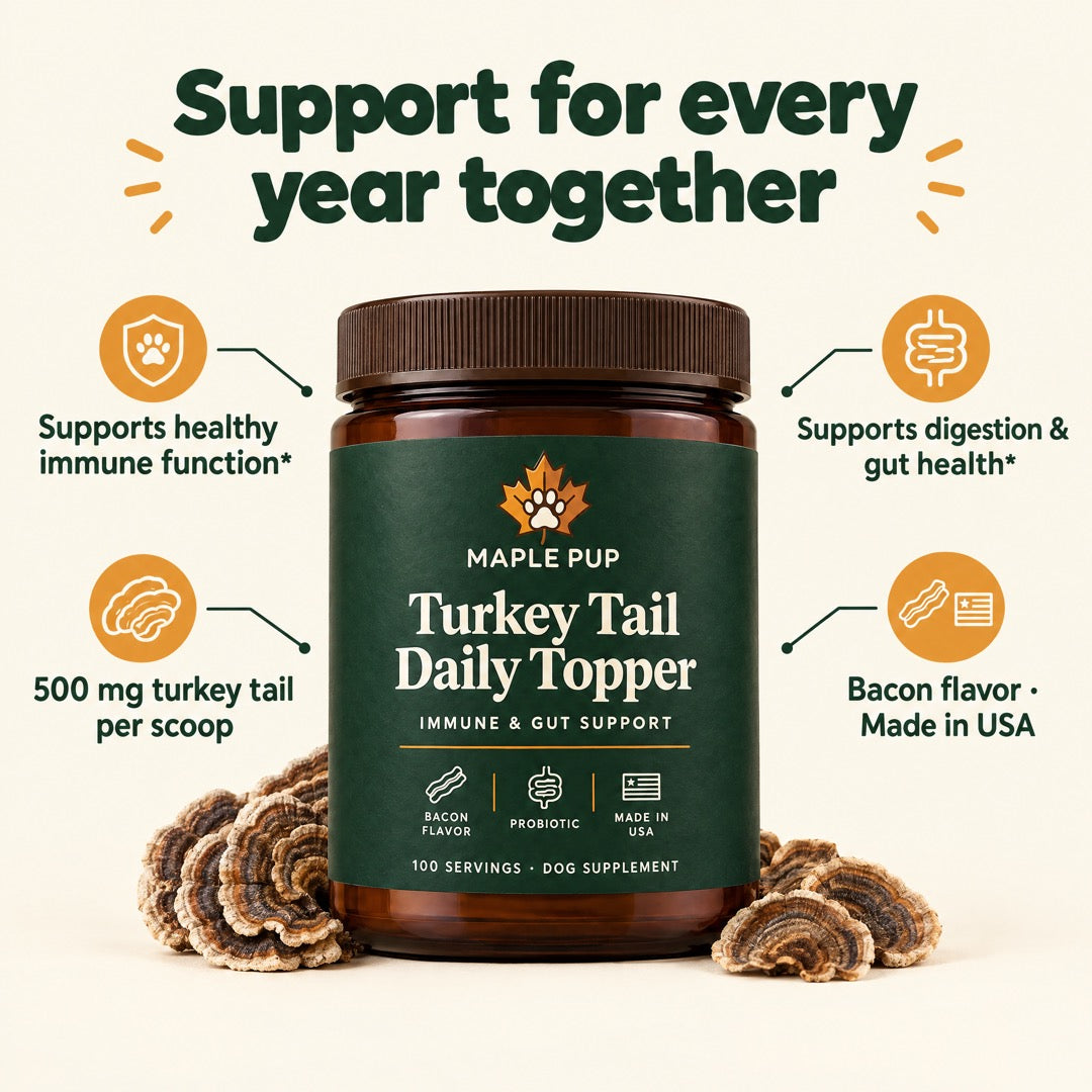 Immune and gut support benefits