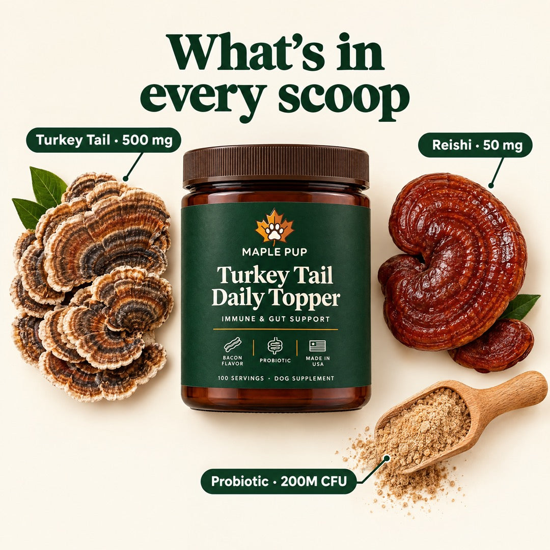 What's in every scoop
